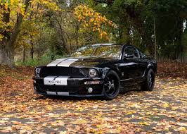Mustang synonyms, mustang pronunciation, mustang translation, english dictionary definition of mustang. 2005 Ford Mustang Classic Driver Market
