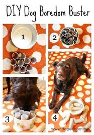 These toy puzzles will keep your dog from getting bored and they can help give your dog good mental stimulation!. Boredom Busters 37 Diy Dog Toys Interactivecattoysdiy Homemade Dog Toys Dog Boredom Diy Dog Stuff