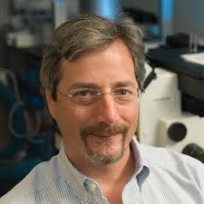 Diversity, Equity and Inclusion