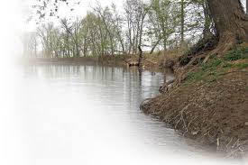 We did not find results for: How To Catch More Creek Smallmouth