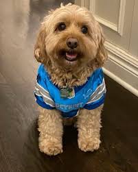 Debbie Spencer Realty