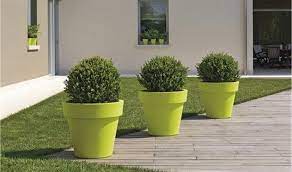 Découvrez cette sélection d'arbustes, à cultiver en pleine terre ou en pot sur votre balcon. Grand Pot Ikon Pour Arbuste Et Plantes Dexception Jarre Pour Arbuste Pot Pour Plantes