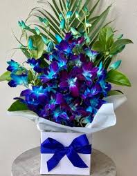 Whether you're looking to buy flowers and gifts like roses , orchids, gift baskets, bonsai trees, flowering plants or wedding bouquets, we have the highest quality blooms and the. Blue Orchid Box
