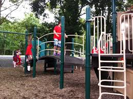 Zip Lines Pulled From Emmaus Park After 2 Kids Break Arms | Emmaus, PA Patch