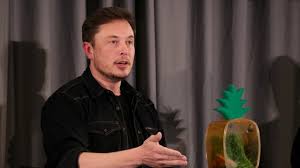 Saate bir havuzdan sana verilen dogecoinleri topla ve kazanmaya başla. Pesaing Bitcoin Dogecoin Harganya Melesat 5 Kali Lipat Gara Gara Elon Musk Kumparan Com