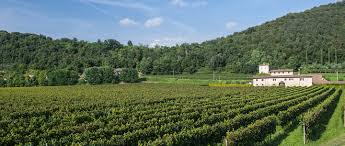 Aus wikipedia, der freien enzyklopädie. Die Cluniazenserstrasse Der Franciacorta Spiritueller Tourismus Tourismus Lombardei In Lombardia