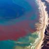 Fwc reports red tide was found over the last week in charlotte, collier, hillsborough, lee, manatee, and sarasota counties. Https Encrypted Tbn0 Gstatic Com Images Q Tbn And9gctqcqy2cgldjgctscdqg2s2y Bpidxlaypggjravk2hikyaaq56 Usqp Cau