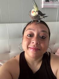 LOST COCKATIELS(2) MARCH 24TH 2025 STRATHMORE, Tulare County, CA 93267 Help  me fine my baby's in the 559 area 3/24/25 and Strathmore ca CONTACT  ALEJANDRO FARFAN (559)361-2424  https://www.facebook.com/share/162E2h394L/?mibextid=wwXIfr OP https://www  ...