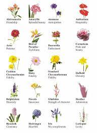 Pin By Svm On Crafting Card Artistry Different Types Of Flowers List Of Flowers Flower Names