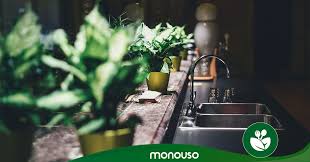 Fregaderos baratos de cocina baratos ▸ pilas de cocina de 1 y 2 cubetas, disponibles con pon tu cocina a la última y elige tu fregadero de cocina entre más de 400 productos, donde podrás elegir. Como Desatascar Un Fregadero Trucos Que No Fallan Monouso