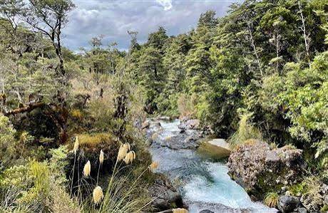 Silica Rapids Walk: Walking and tramping in Tongariro National Park