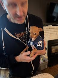 Helping Lost Pets Find Their Way Home Ontario