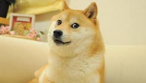 Nft Based Image Of Iconic Shiba Inu Dog Sold For Us 4 Million