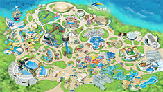 Resultado de imagem para sea world