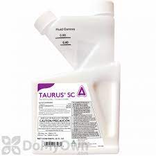 How to apply termidor or taurus properly to kill subterranean termites using termidor sc (suspended concentrate) is a. Taurus Sc Taurus Insecticide Termiticide Fast Free Shipping