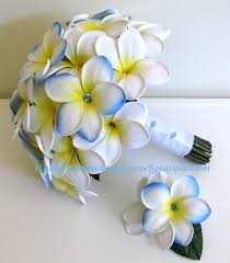 Blue Or Yellow Wedding Flowers Blue Hawaii And Classic White Plumeria Frangipani With Blue Diamante Hibiscus Wedding Frangipani Wedding Wedding Flower Photos