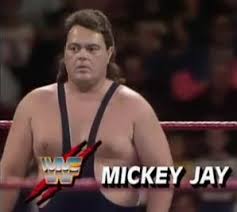 Image result for wrestling jobbers