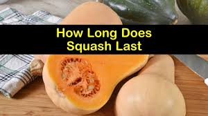 I used both zucchini and yellow crookneck squash. How Long Does Squash Last For Summer Varieties