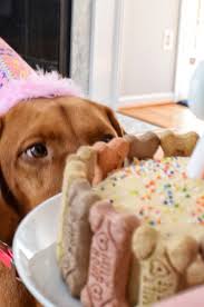 Gradually add flour mixture into the strawberry banana mixture and mix until just combined. Peanut Butter Banana Pup Cake Sprinkles Sea Salt