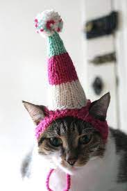 Cats In Hats The Purrfect Cold Weather Hobby Crochet Cat Hat Crochet Cat Cat Hat