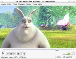 Download vlc media player for windows now from softonic: Vlc Media Player For Debian Gnu Linux Videolan