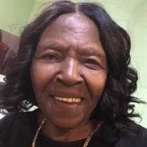 Rev. Sallie Mae Lee Obituary (2024)