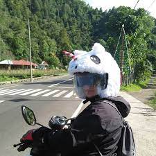 Unicorn Horse Helmet Cover Motorcycle Black Friday Promotion Etsy Horse Helmets Helmet Covers Unicorn Horse