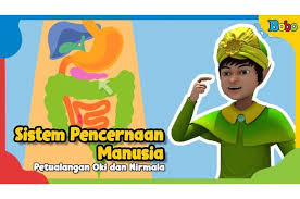Nutrisi inilah yang akan digunakan oleh tubuh. Rangkuman Dan Soal Sistem Pencernaan Belajar Dari Rumah Tvri Untuk Kelas 4 6 Sd Semua Halaman Bobo