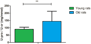 The brainspan project is a detailed atlas of gene expression across human development. Potential Urinary Aging Markers Of 20 Month Old Rats Peerj