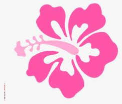 See hibiscus flower outline stock video clips. Hibiscus Transparent Drawn Pink Hibiscus Flower Drawing Png Image Transparent Png Free Download On Seekpng