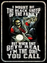 I Might Be The Black Sheep Of The Family Pin On Quotes