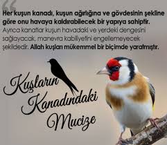 Allah I Sevmek Adli Kullanicinin Allah Herseyi Yoktan Yaratandir Adnan Oktar Panosundaki Pin Evrim Kus Allah