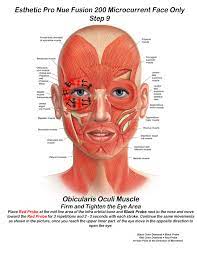 Skin For Life Step 9 When Performing Microcurrent Tighten Lift And Open Those Beautiful Eyes Facial Anatomy Facial Muscles Microcurrent Facial