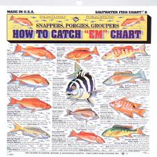 Tightlines Fishermans Saltwater Fish Chart 6 Amazon Co Uk