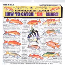 fishermans saltwater fish chart 6