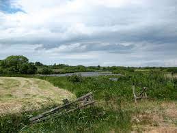 Worpsweed) is a municipality in the district of osterholz, in lower saxony, germany.it is situated in the teufelsmoor, northeast of bremen.the small town itself is located near the weyerberg hill. Teufelsmoor Worpswede Cityseeker