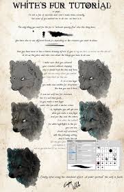 Pin By Sharon Wang On Animal Drawing Tutorial Digital Painting Tutorials Digital Art Tutorial Art Tutorials