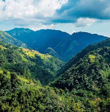 Blue Mountains Jamaica Blue Mountain Jamaica Moon Palace Jamaica