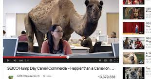 Hump day is a commercial while caleb announces hump day in the office. Hump Day Geico Commercial Creators Dish On Ad S Success Its Development Cbs News