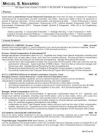 Resume Sample 11 International Human Resource Executive Resume Career Resumes