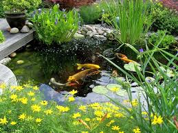 Teichfilter So Bleibt Das Wasser Klar In 2020 Teichfilter Teich Garten