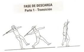 Fase de suelta o fase final: Propuesta Metodologica De La Ensenanza De La Tecnica Del Lanzamiento De La Jabalina Monografias Com