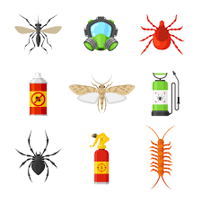 If it is indeed termites, you want to eliminate the problem before they cause massive structural damage to. What To Do About A Pest Infestation
