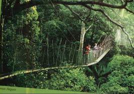 Buy express bus ticket from kuala lumpur to kuala tahan (taman negara). Wunderbarer Einstieg Taman Negara Day Tour Kuala Lumpur Reisebewertungen Tripadvisor