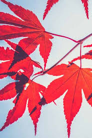 Musical Chairs' Q3 2021