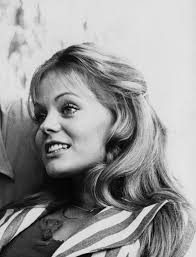 Show-Cocktail: Spaß und Musik