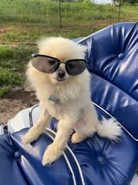 What are good motorcycle rental options in Fairbanks, Alaska?