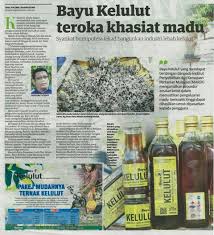Madu lebah kelulut atau biasa kita kenal dengan lebah trigona sangat kaya akan manfaat dan khasiat. Usm News Portal Bayu Kelulut Teroka Khasiat Madu