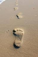 Originalfassung des gedichts footprints (c) 1964 margaret fishback powers; Spuren Im Strand Kostenloses Bild Zum Herunterladen