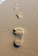 Top marken | günstige preise | große auswahl Spuren Im Strand Kostenloses Bild Zum Herunterladen